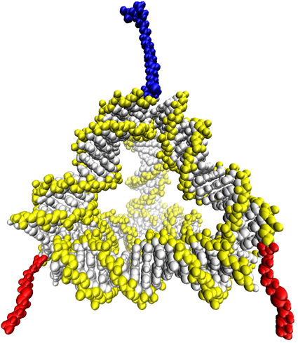 DNA Tetrahedron